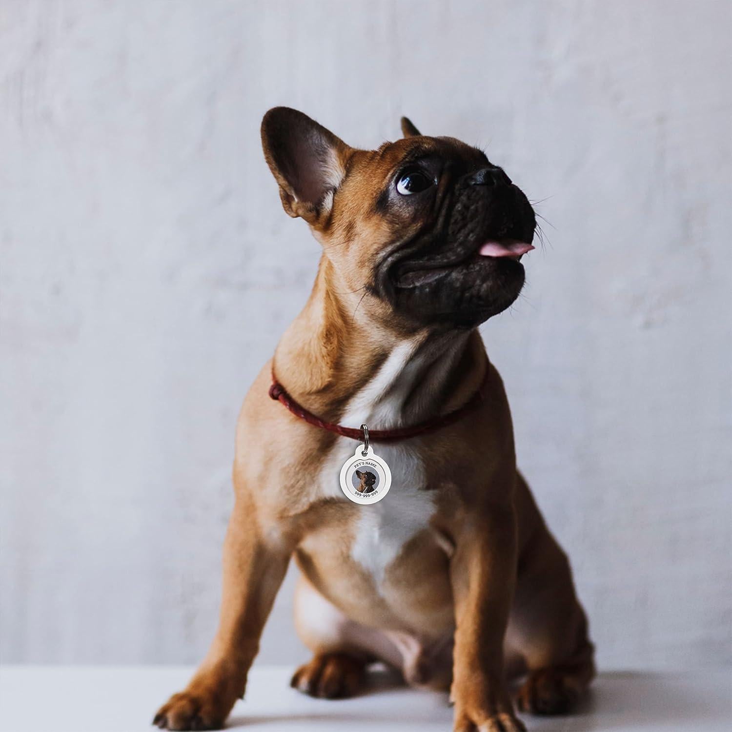 Etiqueta de Identificación QR Personalizada para Perros ROVERTAGS - Grande