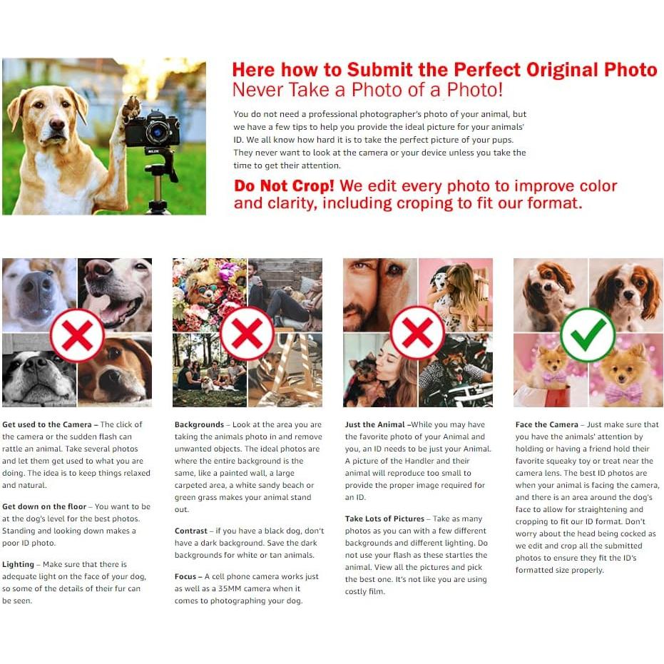 Tarjeta de Identificación Personalizada Just 4 Paws para Perros de Servicio