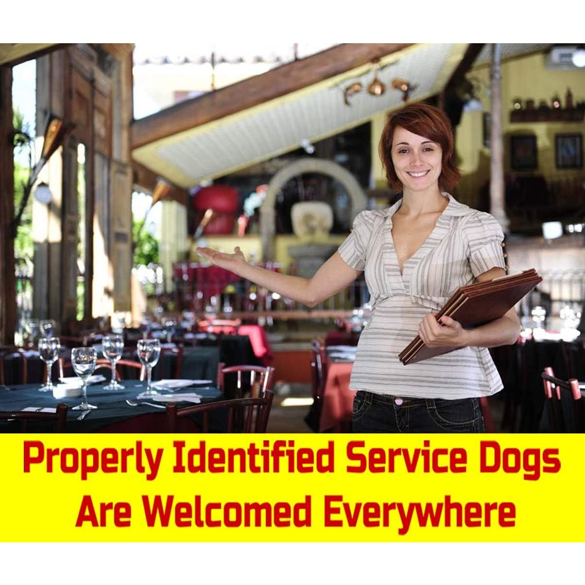 Tarjeta de Identificación Personalizada Just 4 Paws para Perros de Servicio