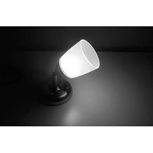 Luz de Lectura LED 12V Jerrylight 6000K Paquete de 2