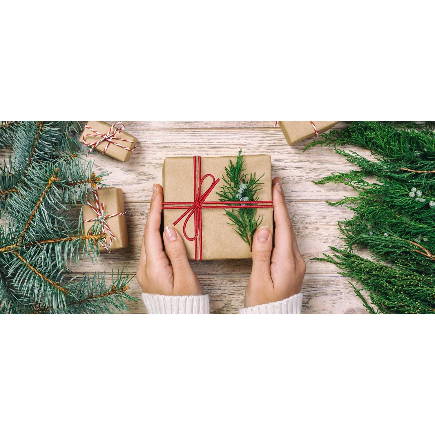 Laços Elásticos K-Kraft Rojos 100 Unidades 25.4 cm para Artesanías