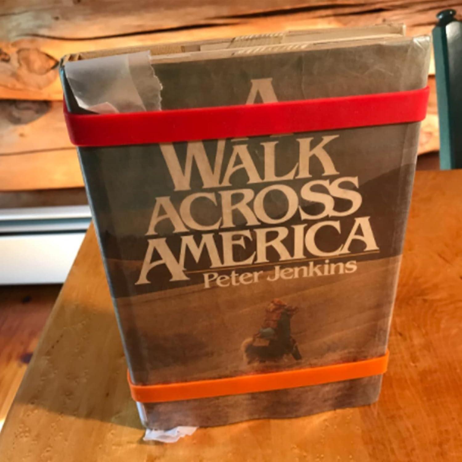 Bandas de Goma de Silicona ATEN 6 Colores 19.8x1 cm