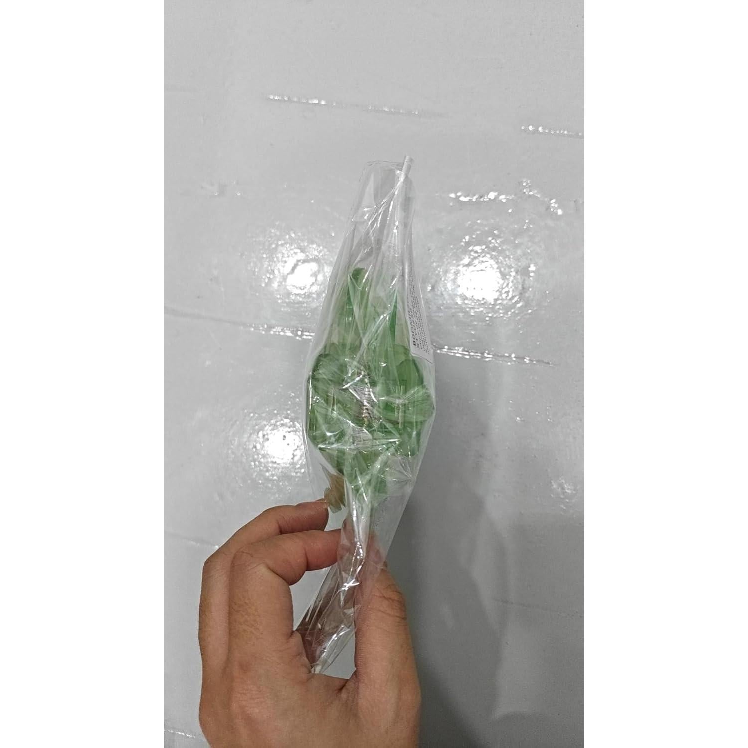 2 Sujetadores de Páginas Transparentes HINGTAI para Leer