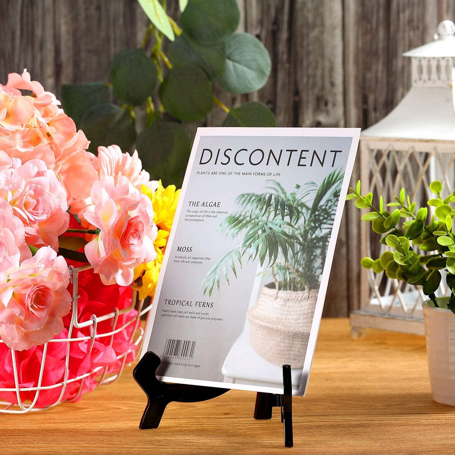 Paquete de 6 Soportes de Acrílico 18 cm Hestya para Platos y Fotos