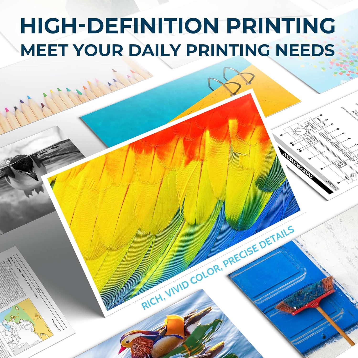 Cartuchos de Tinta Negra Remanufacturados Pingüino HP 67XL - 2 Unidades