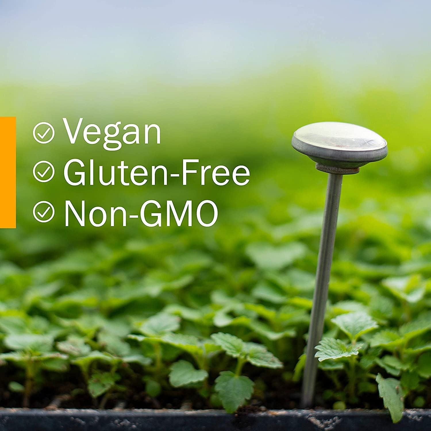 Extracto Líquido de Semilla de Cardo Mariano Herb Pharm 60 ml - Paquete de 2