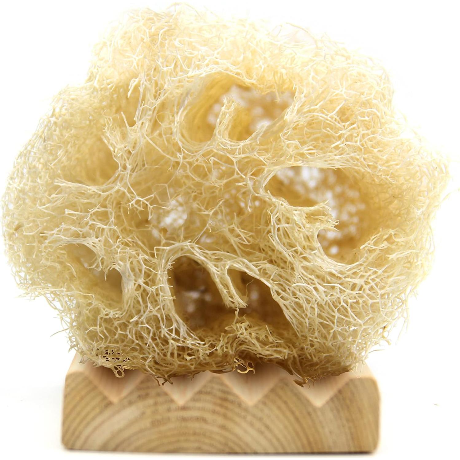 Plato de Jabón de Madera de Cedro L'Olivier 11.7x8.6 cm