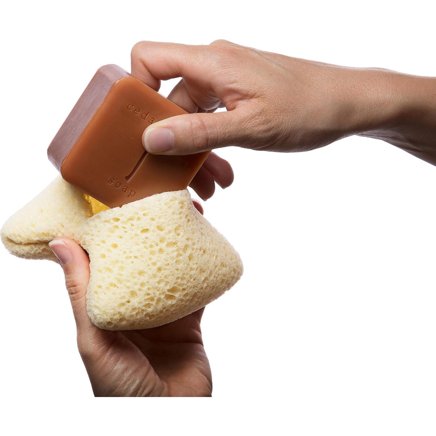 Esponja Exfoliante para Cuerpo MartiniSPA - 2 Unidades Beige