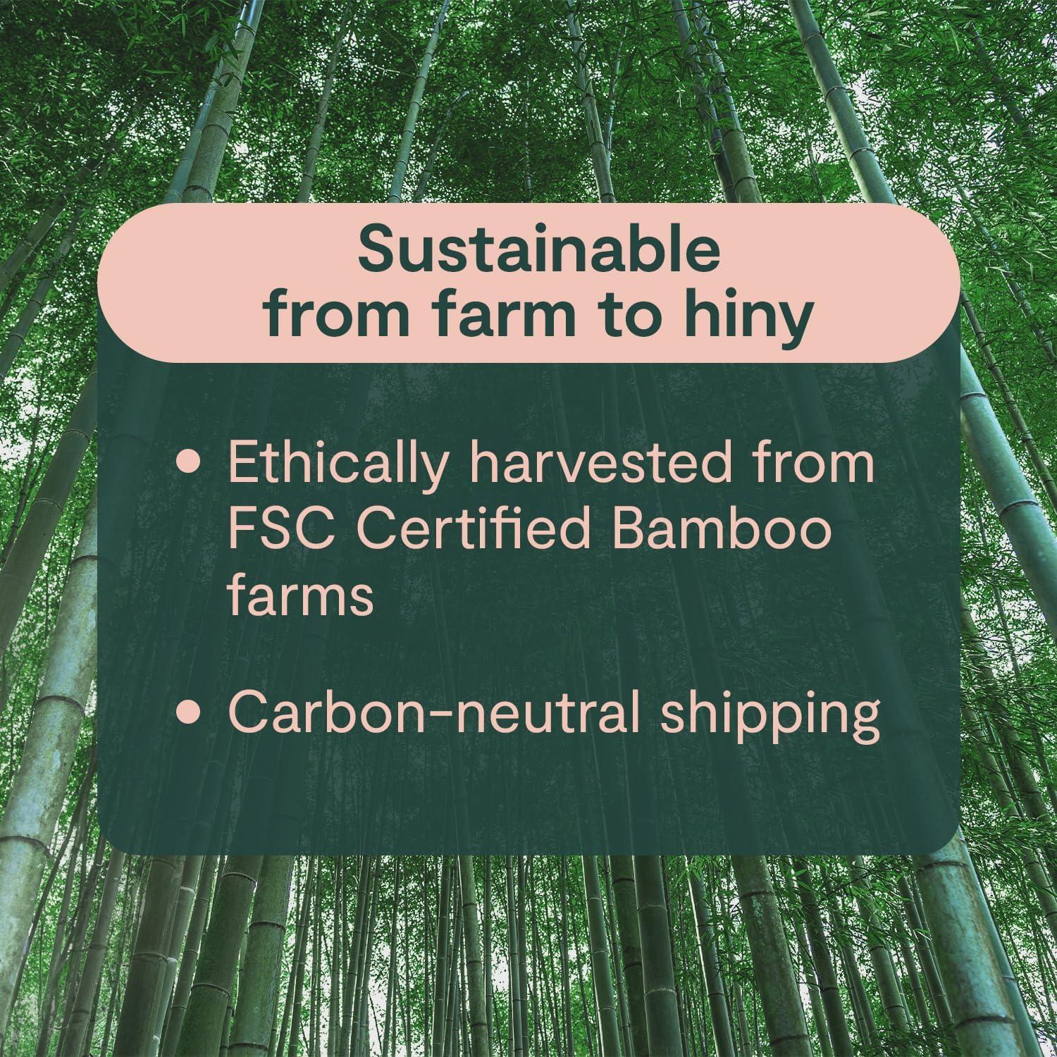 Papel Higiénico de Bambú ecoHiny | 12 Rollos Mega 3 Capas 350 Hojas