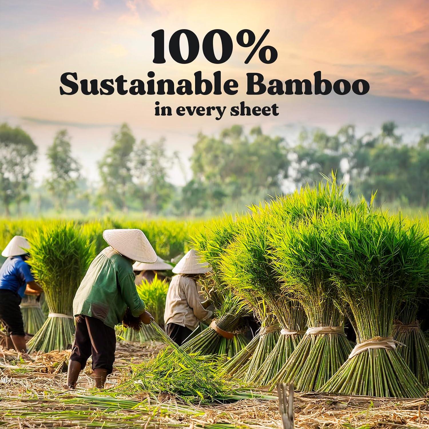 Papel Higiénico Orgánico ZENO 3 Capas 12 Rollos Jumbo 350 Hojas