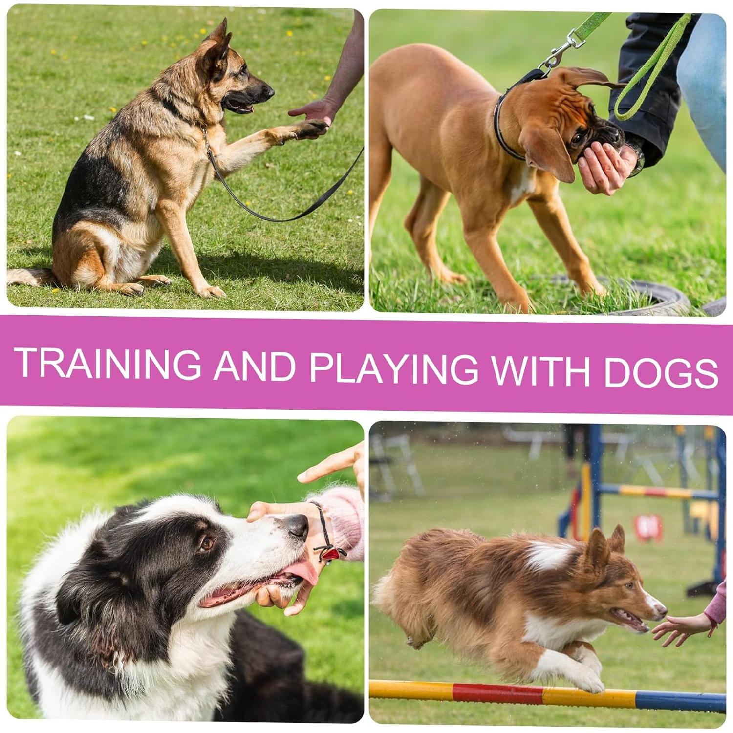 12 Silbatos de Emergencia Mabor para Niños y Adultos