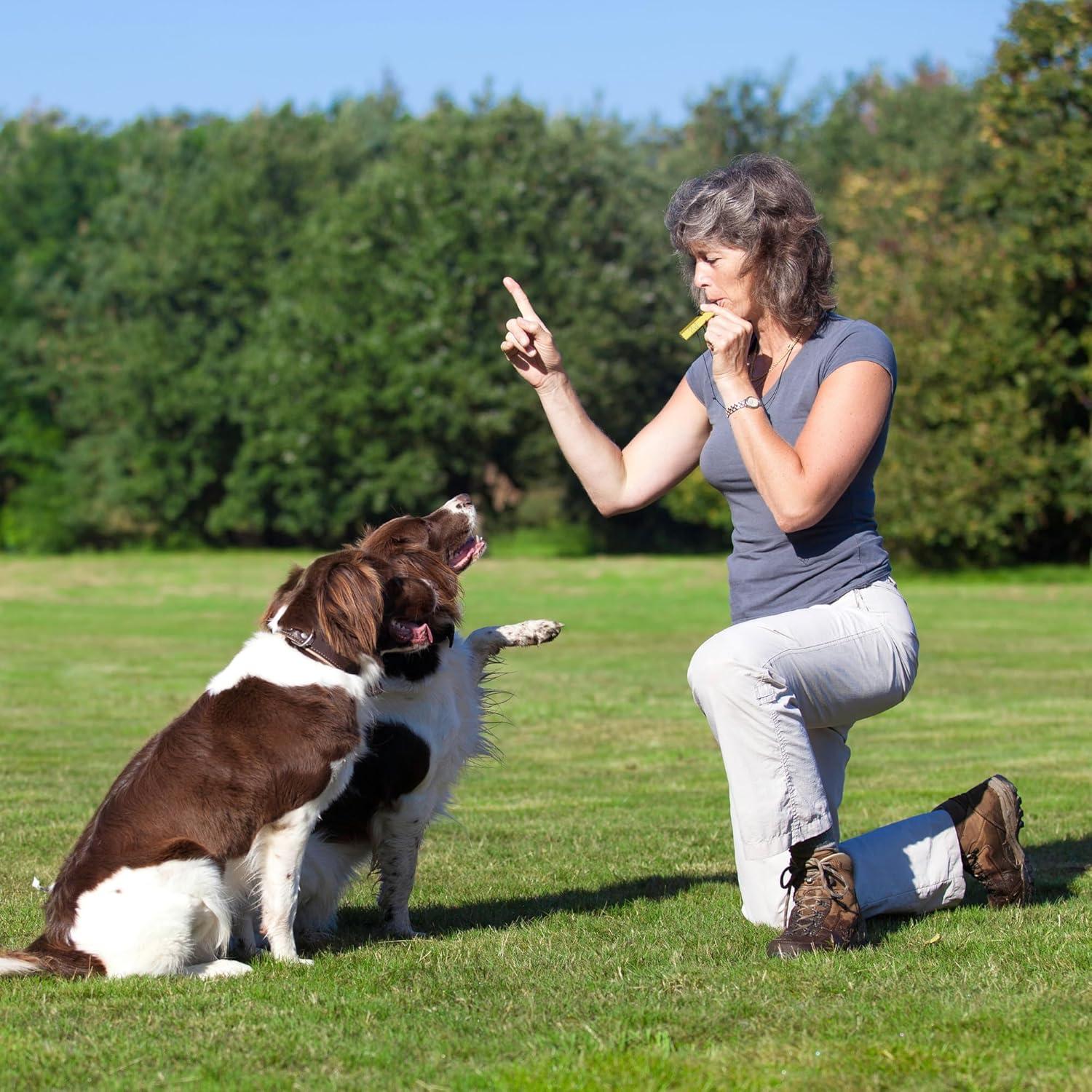 Silbato de Supervivencia Potato Zone 120dB Aluminio Portátil