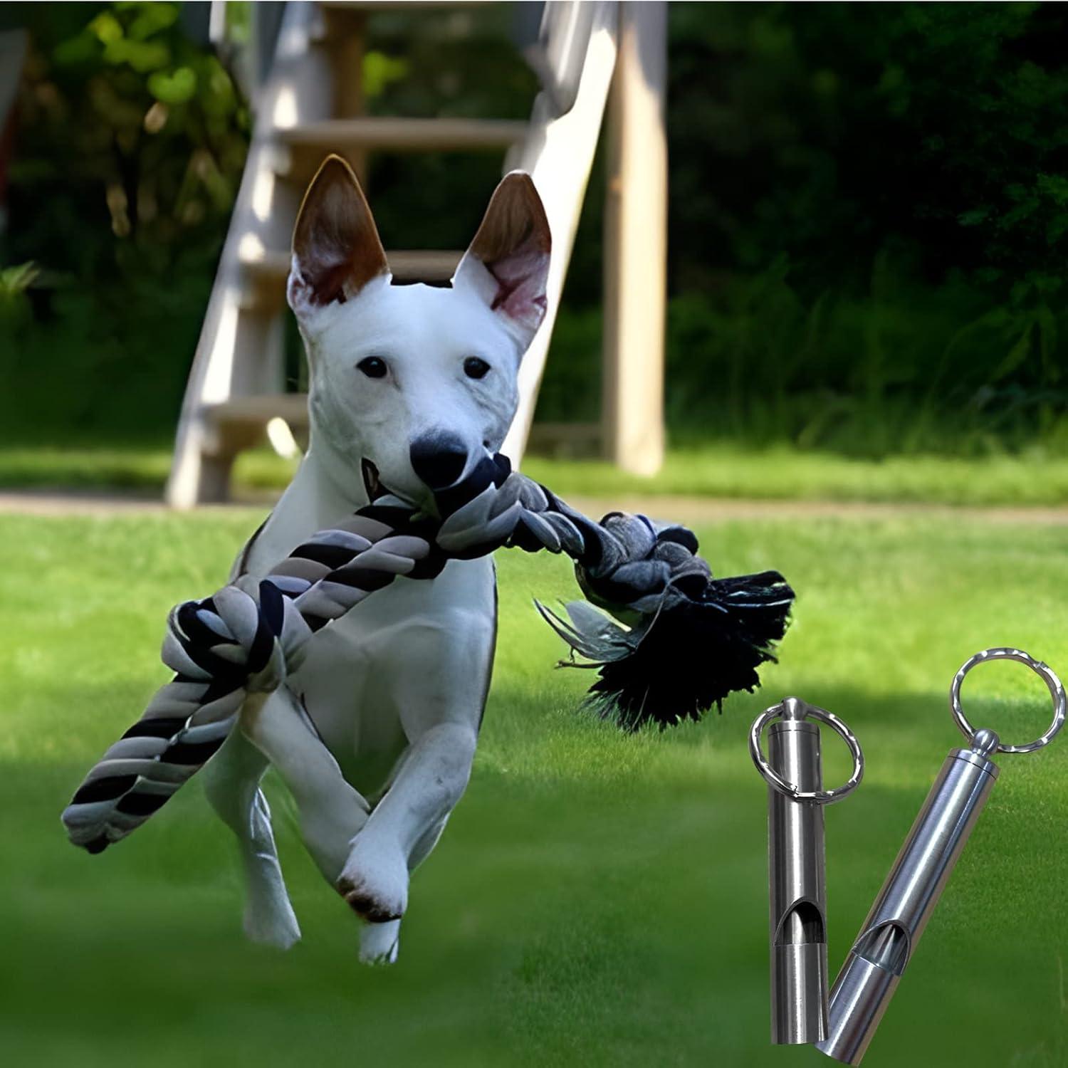 2 Silbatos de Acero Inoxidable FXHDC-M para Emergencias