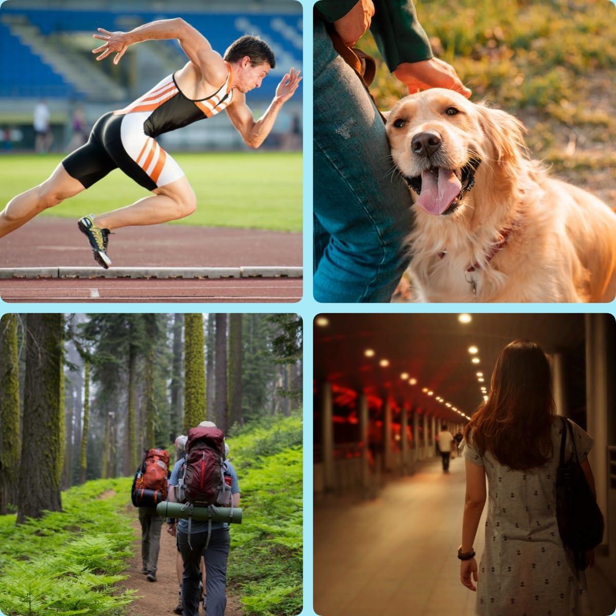 Silbato Electrónico WANJOTEC 130dB 3 Tonos Ajustables