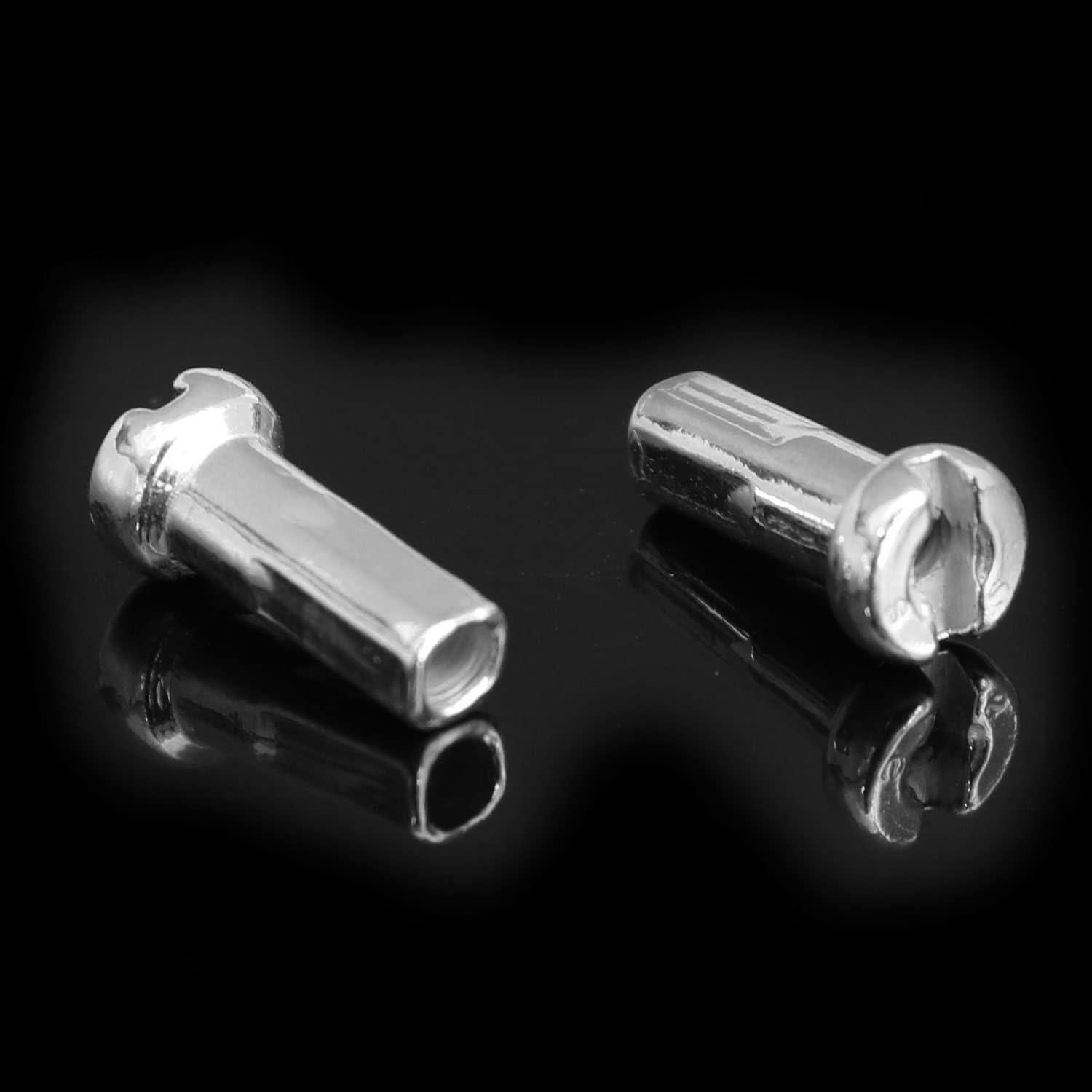 Tapas de Radio de Bicicleta TAODAN 100PCS 12mm Plateadas