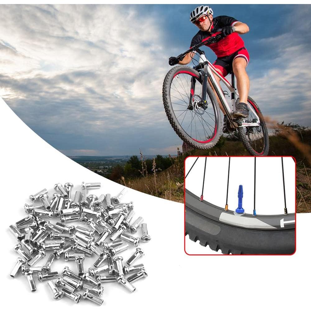 Tapas de Radio de Bicicleta TAODAN 100PCS 12mm Plateadas