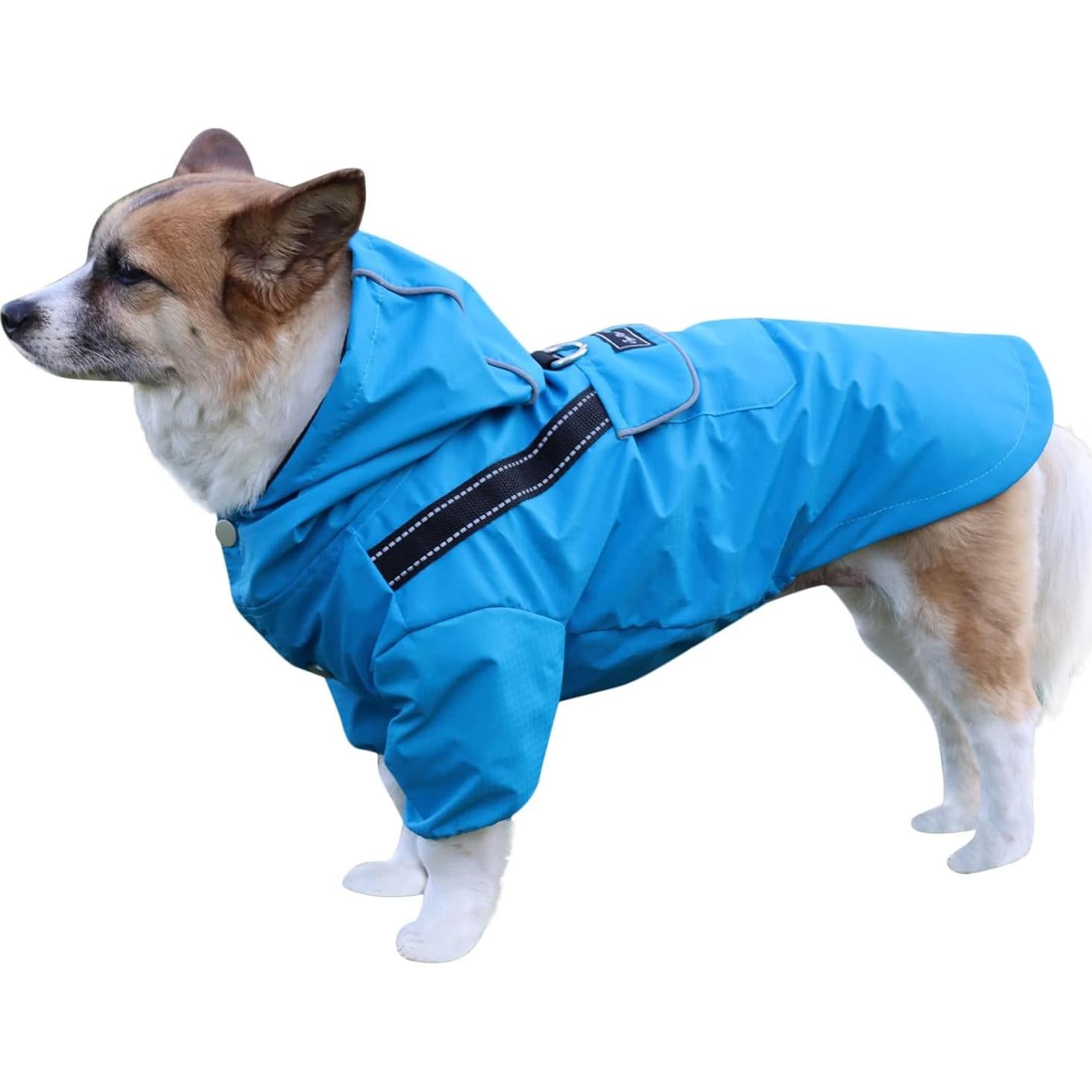 Impermeable para Perros JoyDaog XS Azul con Capucha y Bolsillos