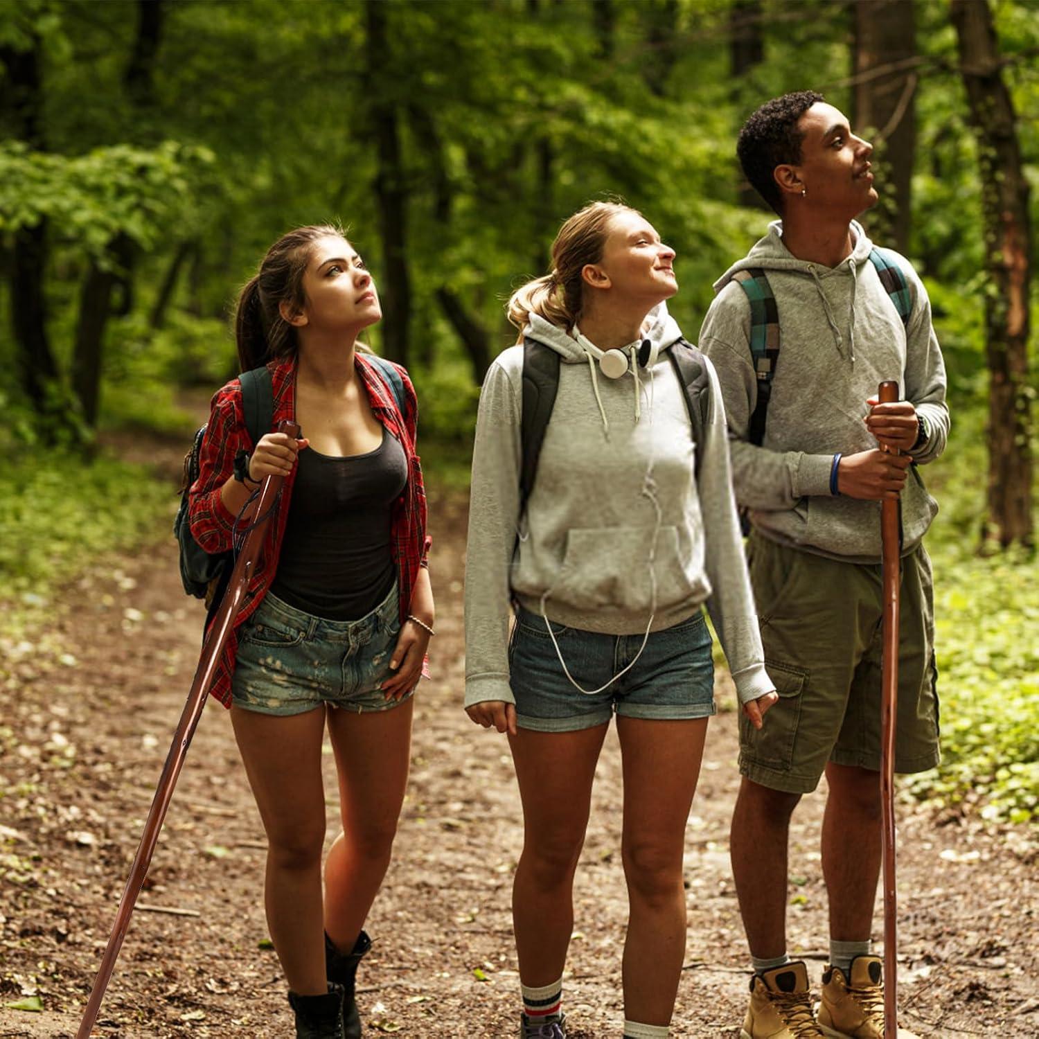 Bastones de Senderismo Mezchi 2 Paquete Madera Natural 121.92 cm