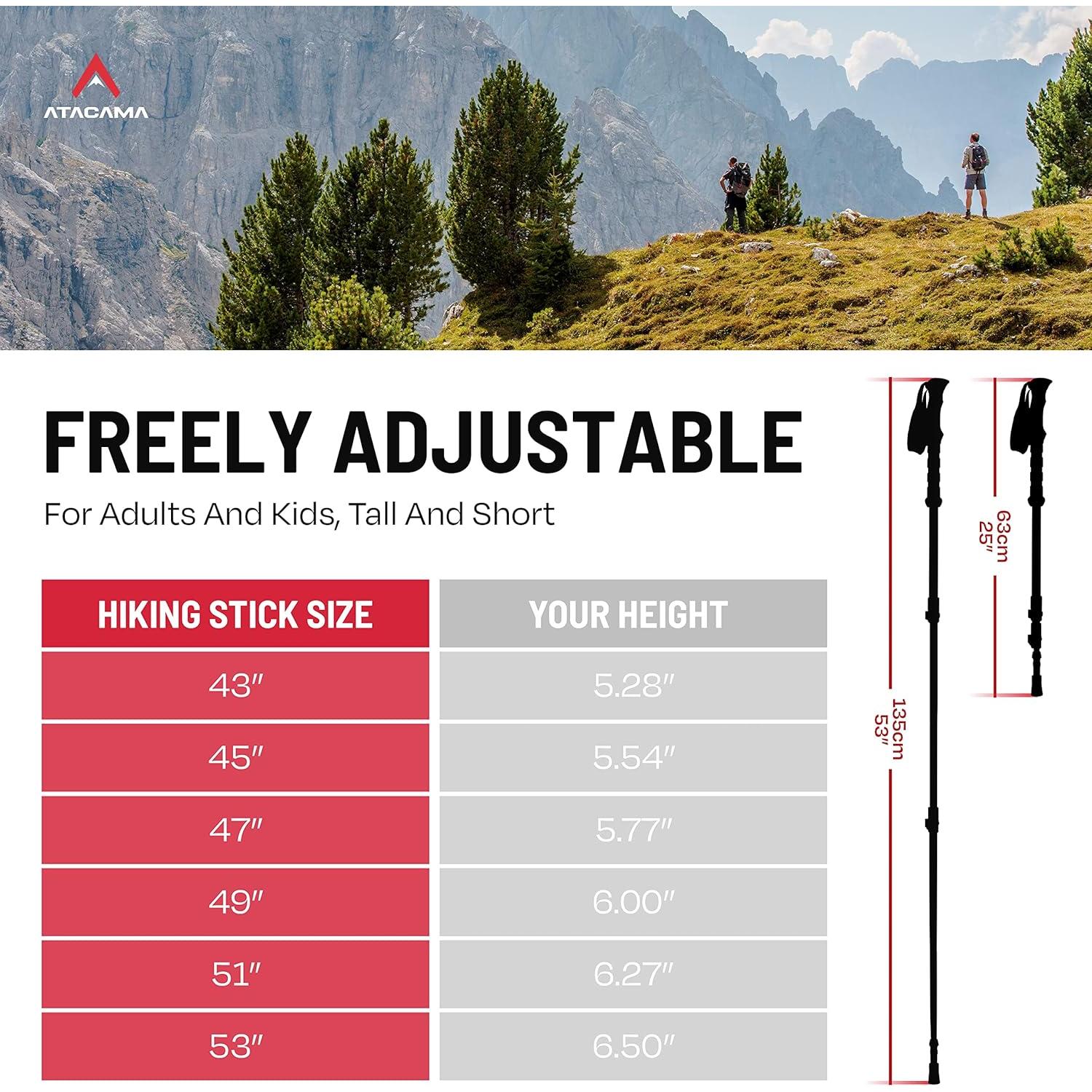 Bastones de Senderismo Plegables Atacama de Carbono 220g