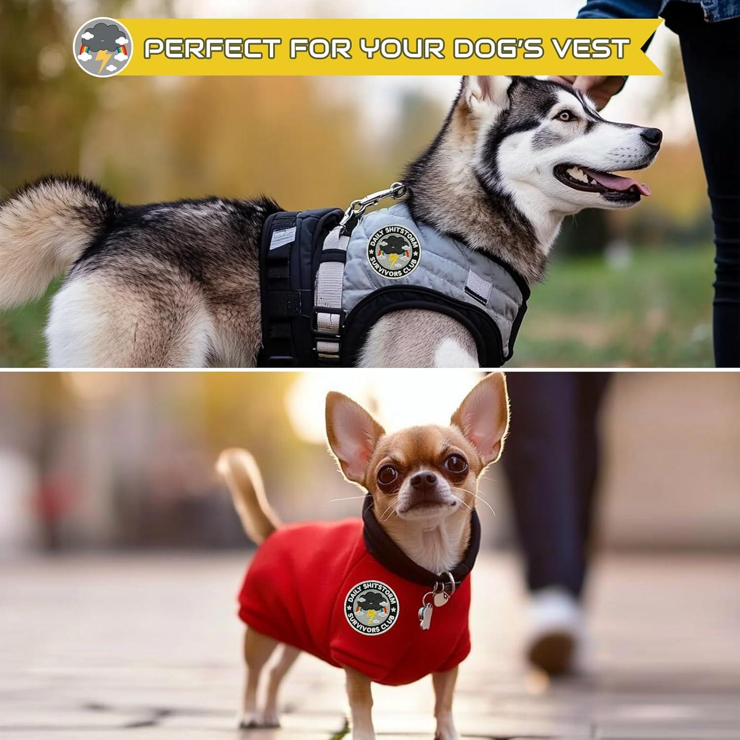 Parche Bordado de Nube Divertida XMJY 7.62 cm Planchar