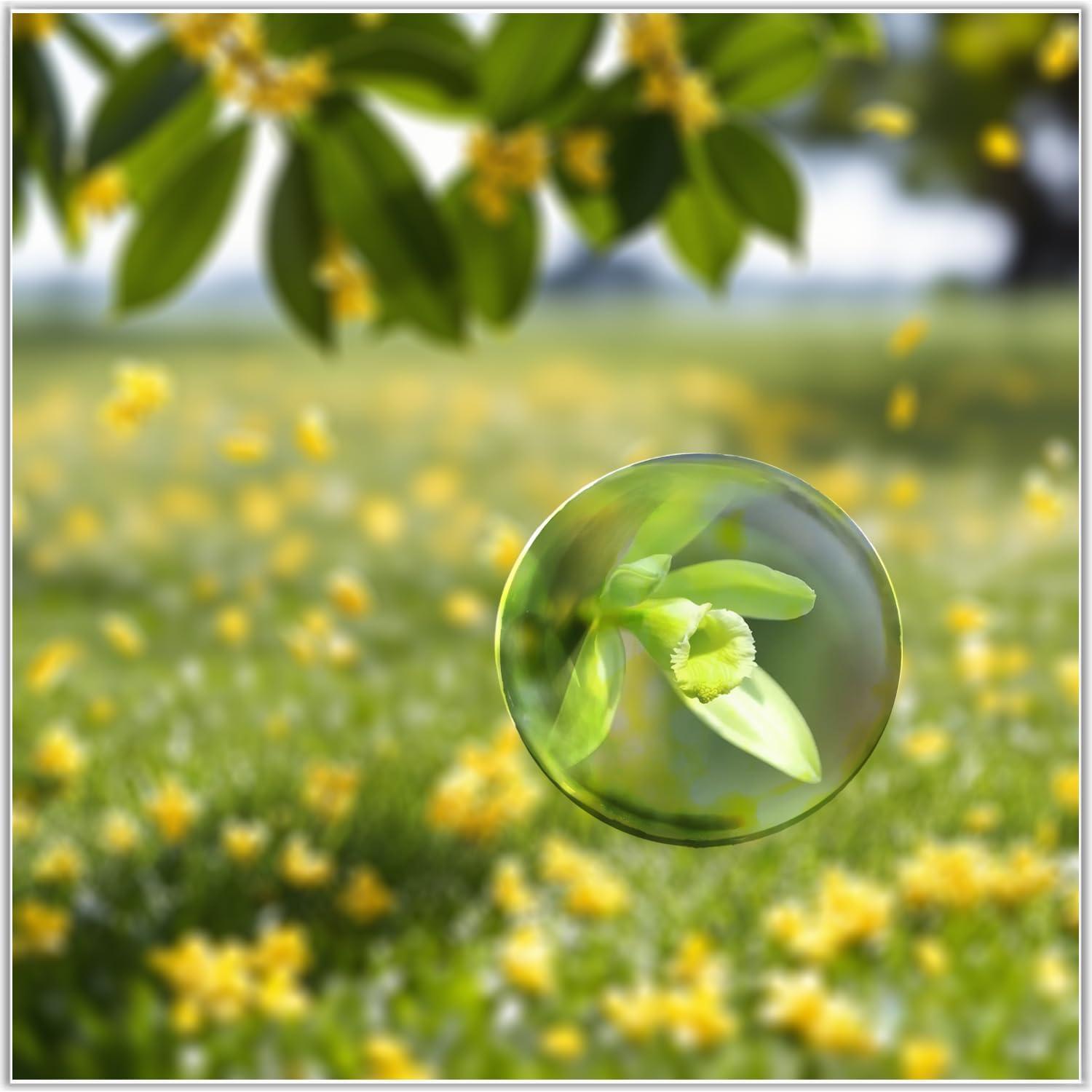 Sujetapapeles de Cristal Bluwtpoclan 4 Pcs 4.8 cm Aumentadores