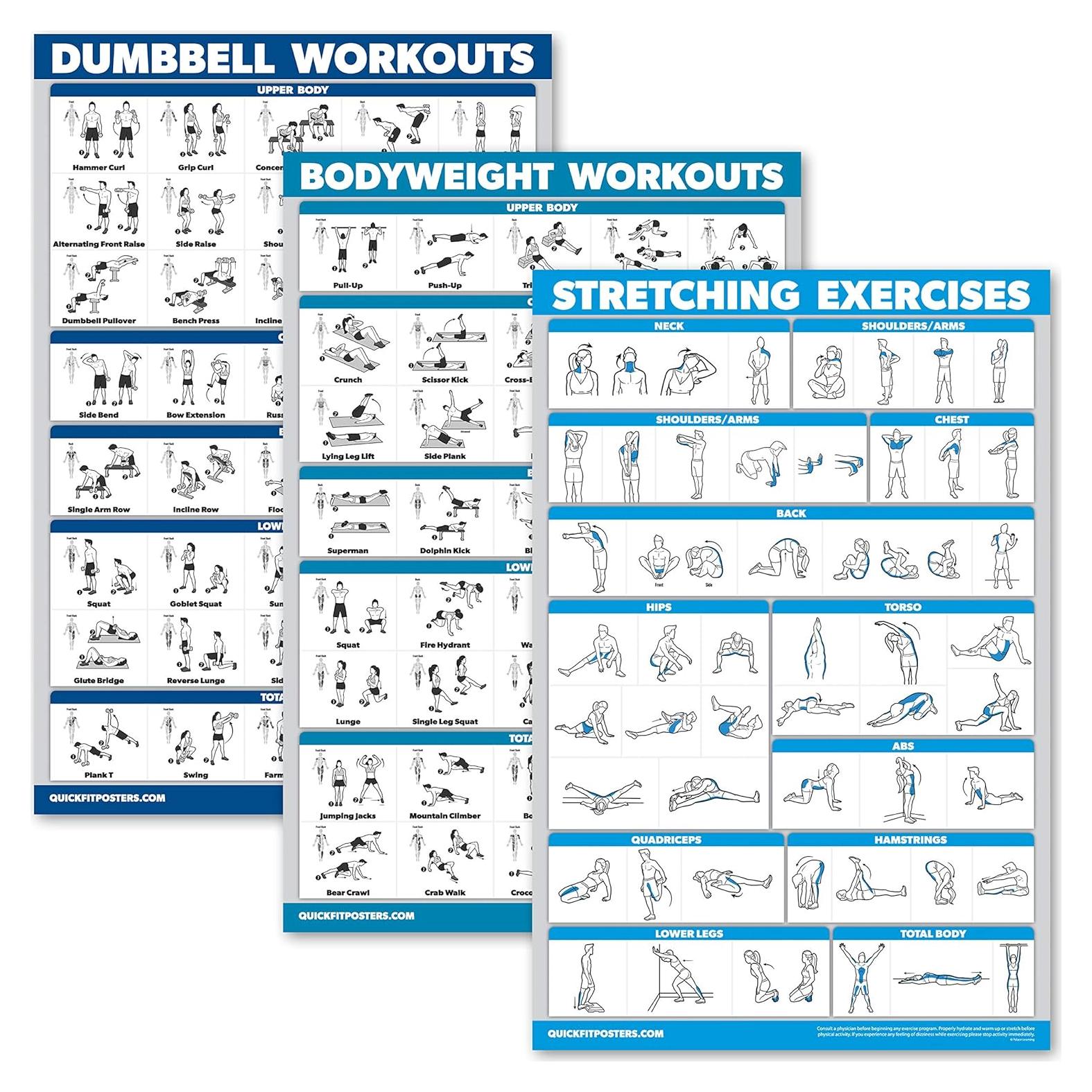Carteles de Ejercicios QuickFit - Set de 3 Laminados 45.72x60.96 cm