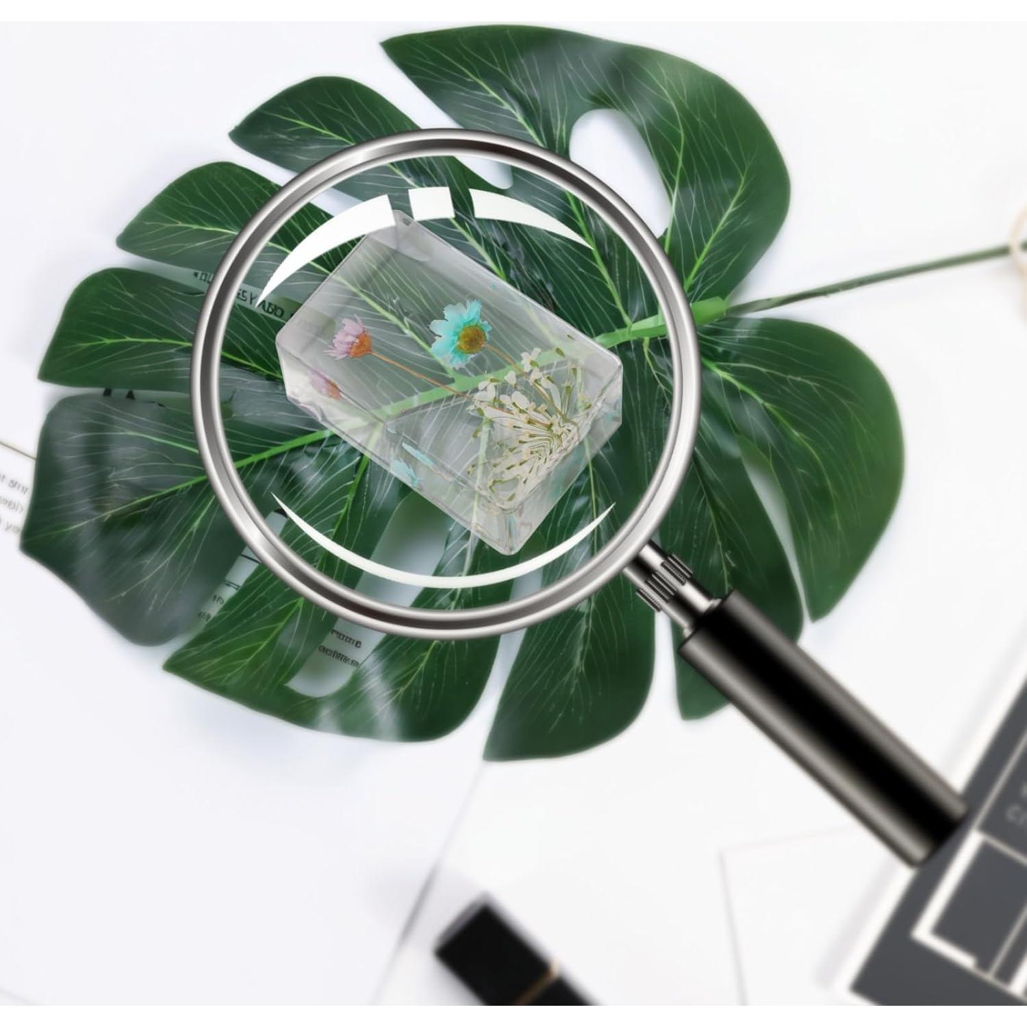 10 Pisapapeles de Resina con Flores Reales JINLISPIN 4.19cm