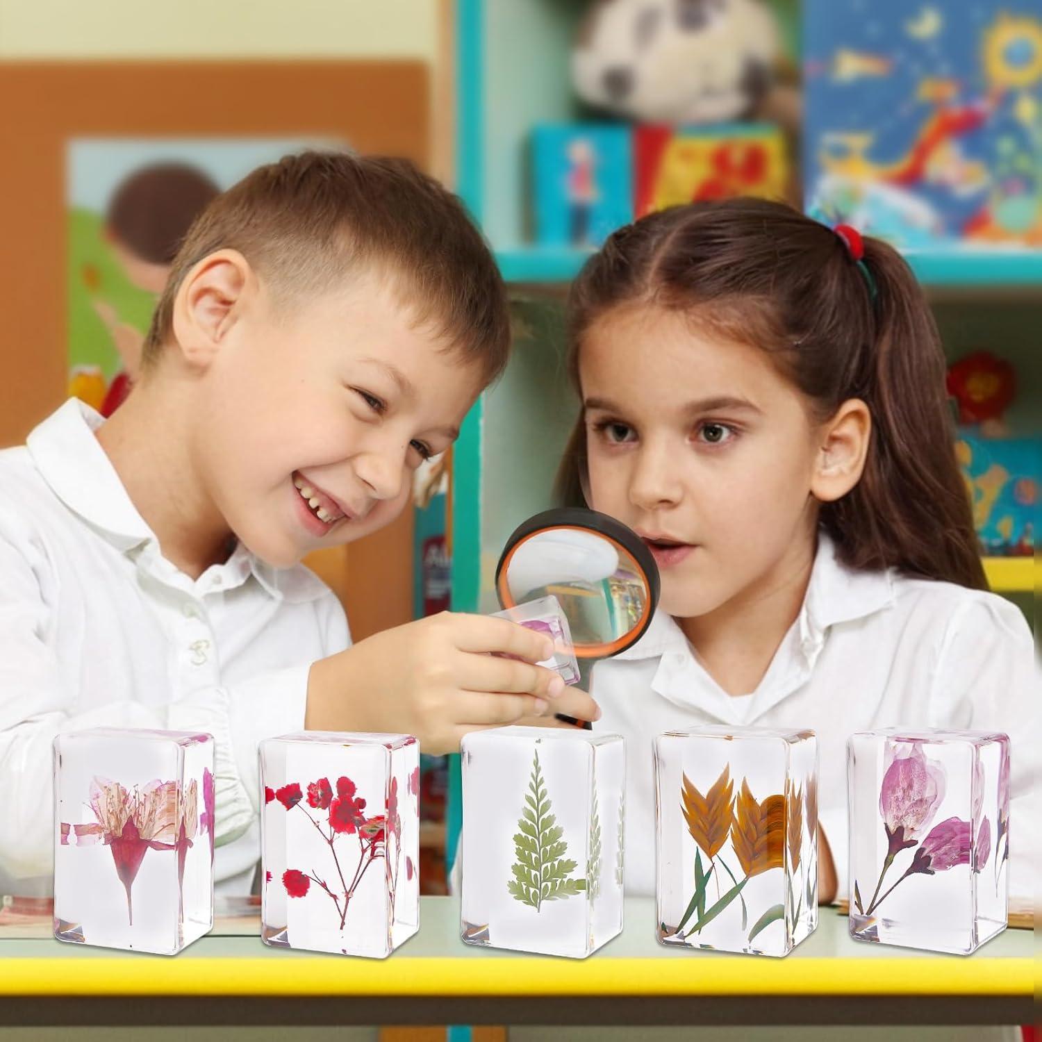 10 Pisapapeles de Resina con Flores Reales JINLISPIN 4.19cm