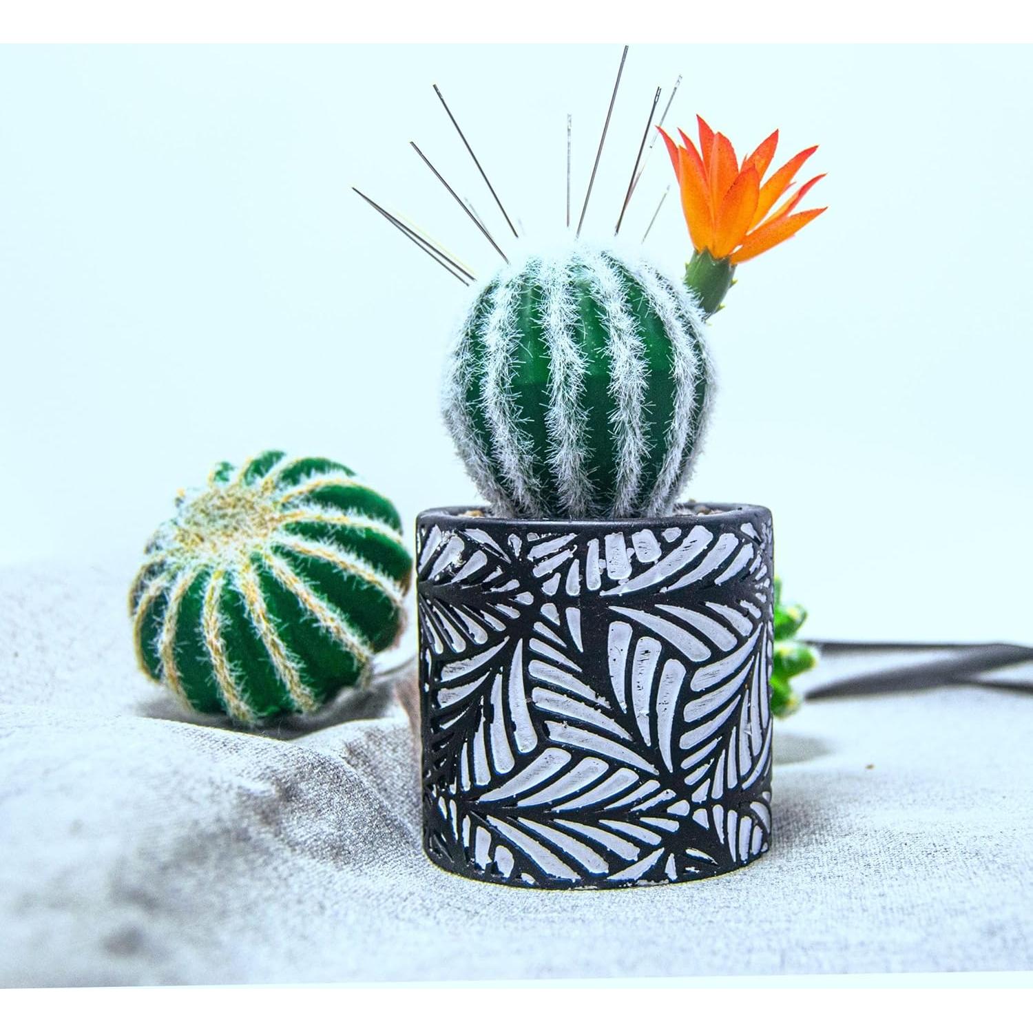 Pincushion de Cactus July-Tech con Jarrón Cerámica 17.8x7.6cm