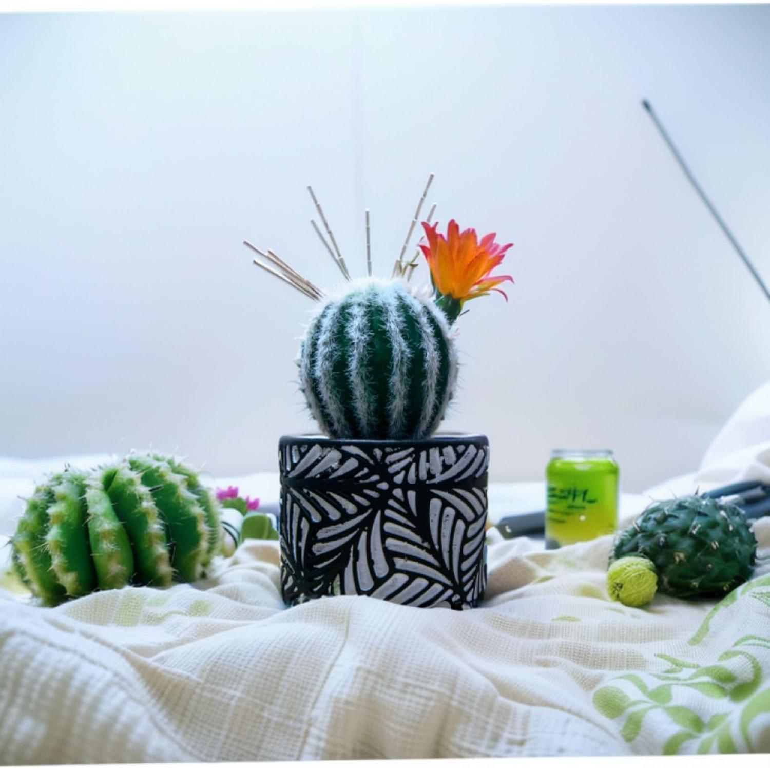 Pincushion de Cactus July-Tech con Jarrón Cerámica 17.8x7.6cm