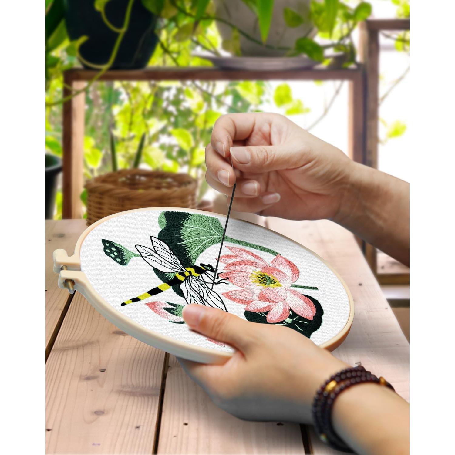 Kit de Bordado TINDTOP Colibrí para Principiantes Adultos