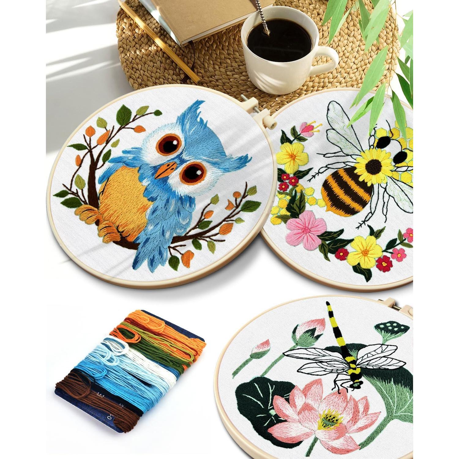 Kit de Bordado TINDTOP Colibrí para Principiantes Adultos