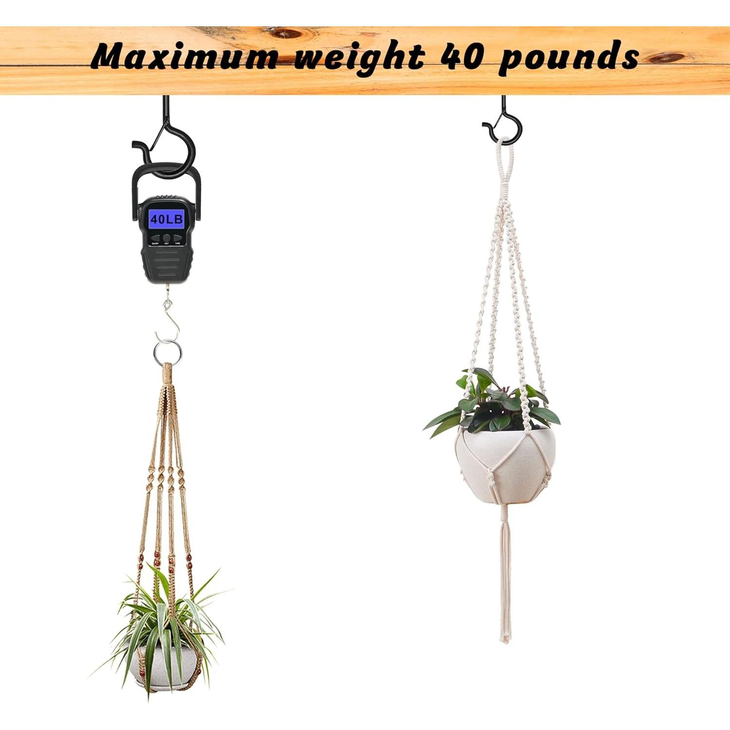 Ganchos de Tornillo Ansxiy 10 PCS 7.62 cm Negro Resistente