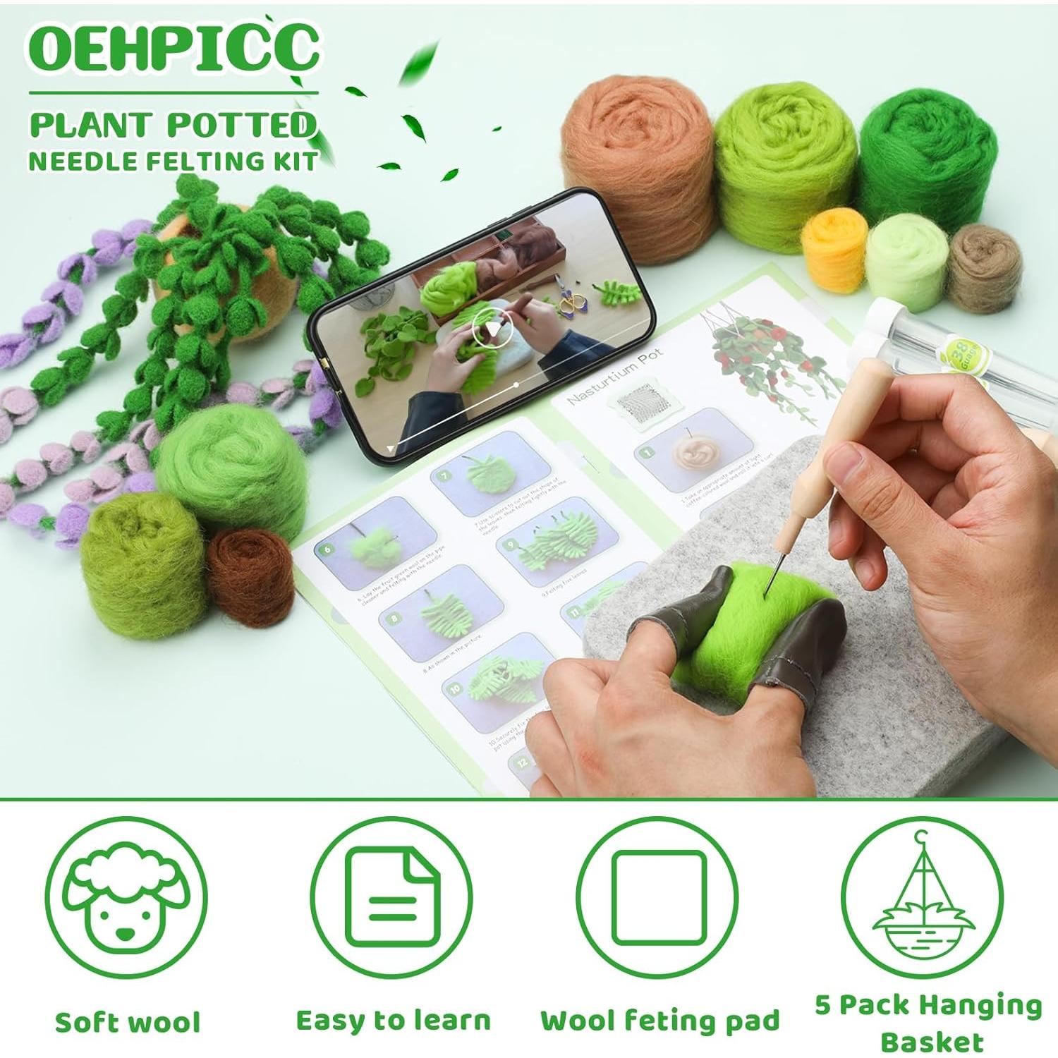 Kit de Fieltro con Aguja OEHPICC - 5 Plantas Colgantes