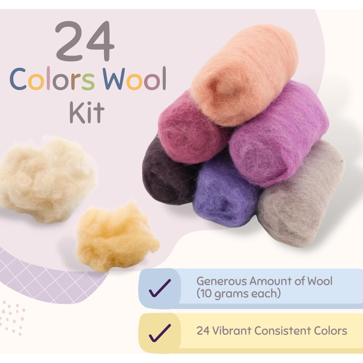 Kit de lana para fieltro de aguja Woolbuddy - 24 colores Corriedale