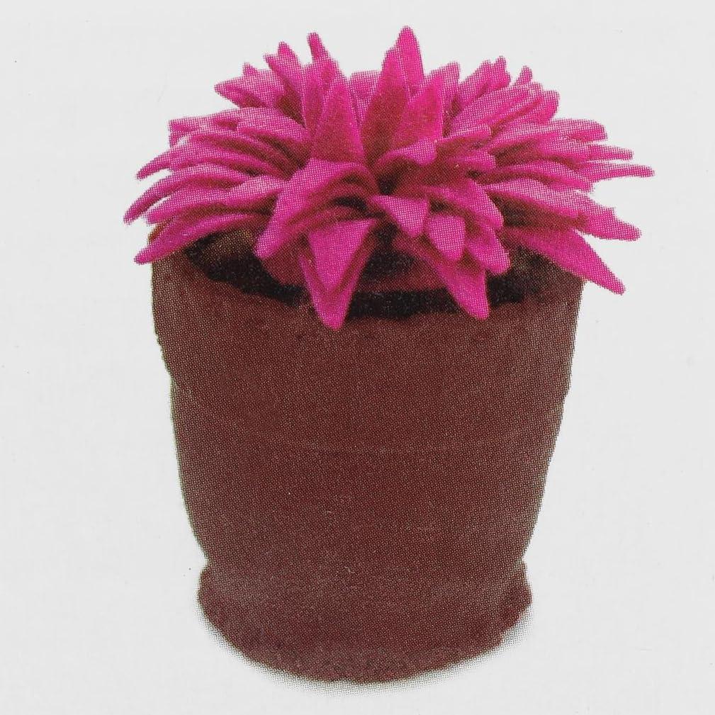 Kit de Fieltro Succulent Leisure Arts - Crea 3 Plantas