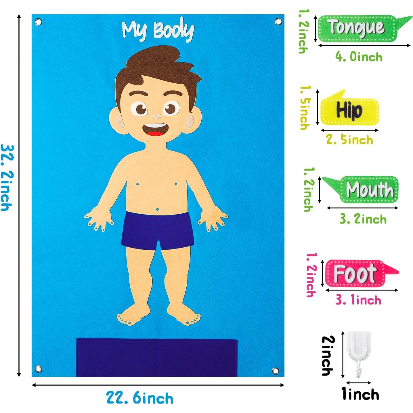 Conjunto de Aprendizaje de Partes del Cuerpo WATINC 80 Piezas