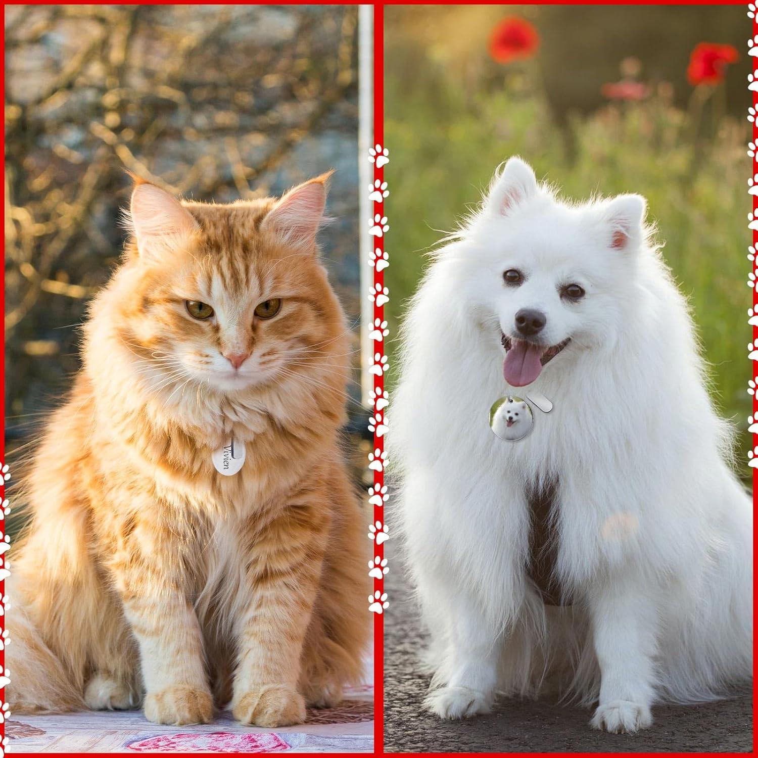 Etiquetas de Metal Grabables Gisafai 30 Pcs Plata 3 cm