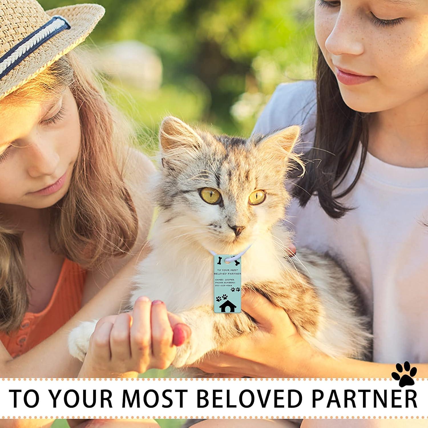 30 Placas Rectangulares de Aluminio para Sublimación DIY 4x2cm