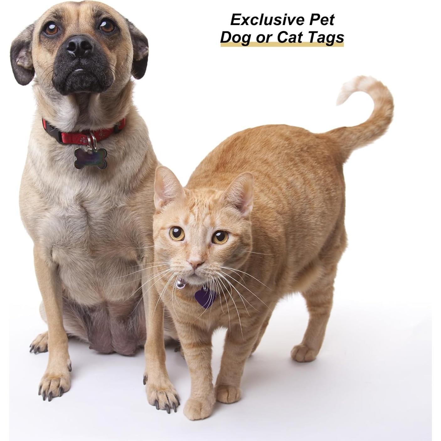 Etiquetas de Identificación para Mascotas uxcell - Corazón, 10 Pzas