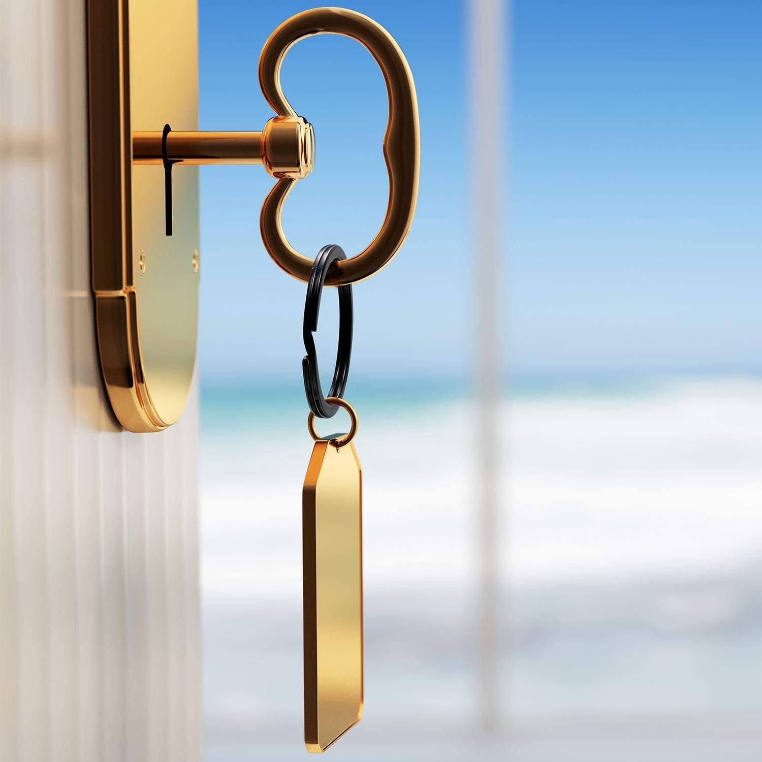 30 Anillos de Llave Divididos Metal Outus 20mm 25mm 32mm Negro