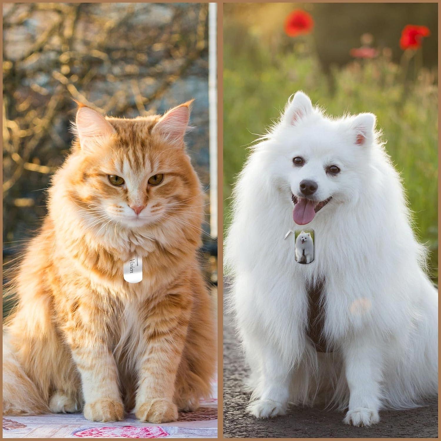 30 Llaveros Metálicos Grabables Gisafai Acero Inoxidable Plata