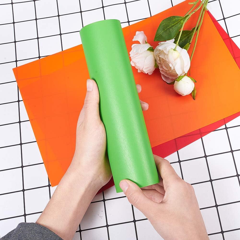 Hojas de Retracción Térmica PH PandaHall 20x29 cm 10 Colores