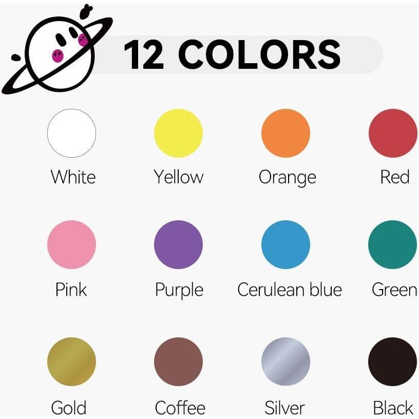 Set de 12 Marcadores de Pintura Acrílica Doble Punta Transon