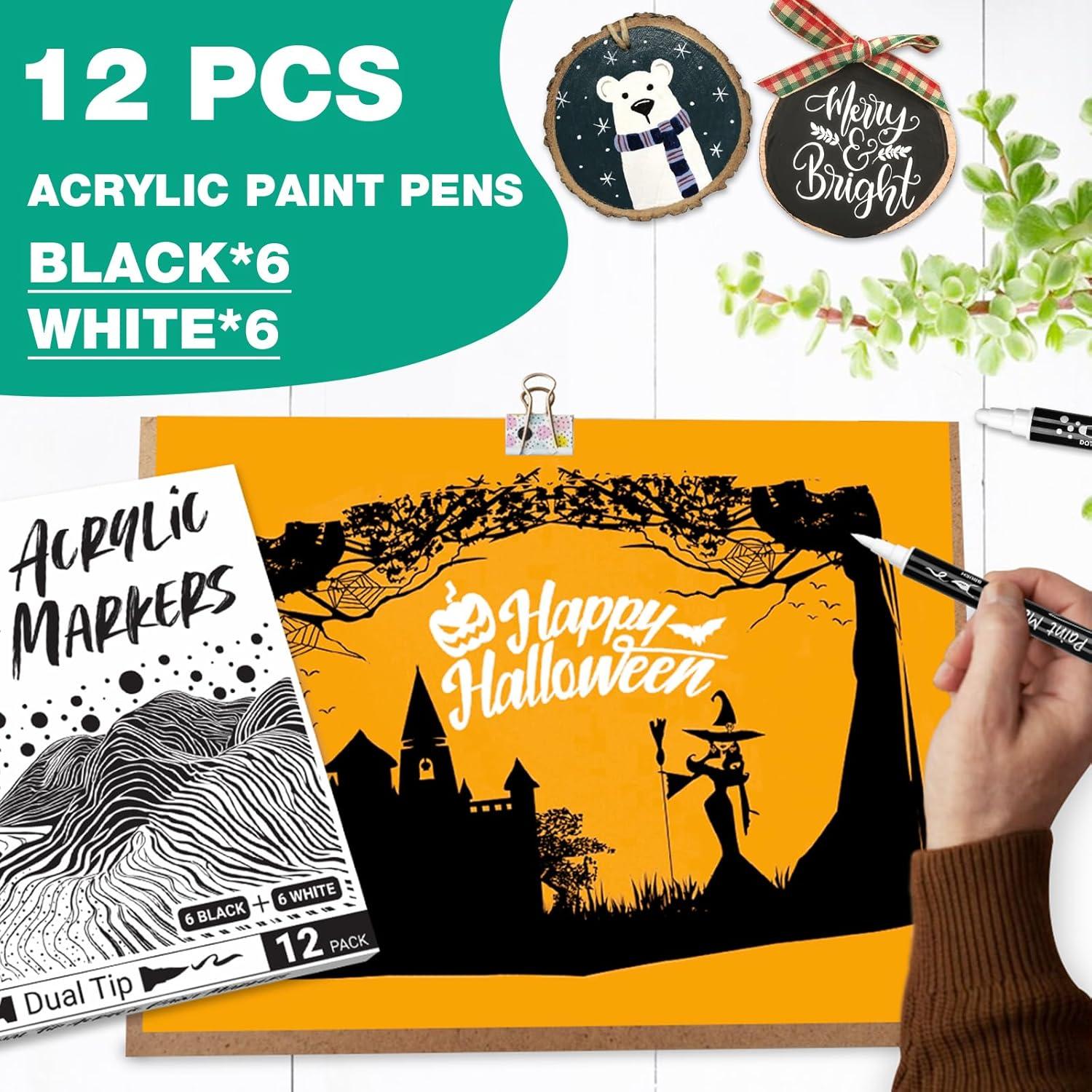 Marcadores Acrílicos Permanentes AKARUED - Paquete de 12 - Punta Doble