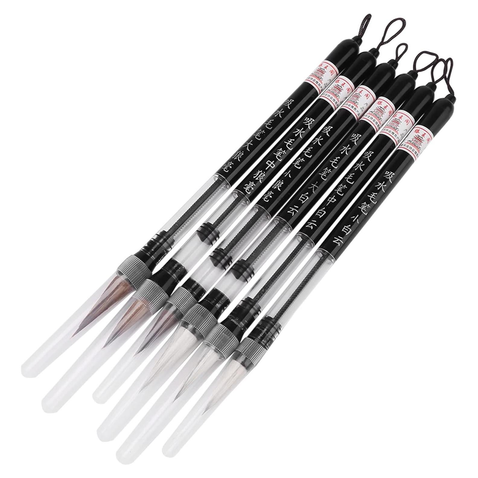 Set de 6 Plumas de Cepillo de Agua Walfront para Caligrafía