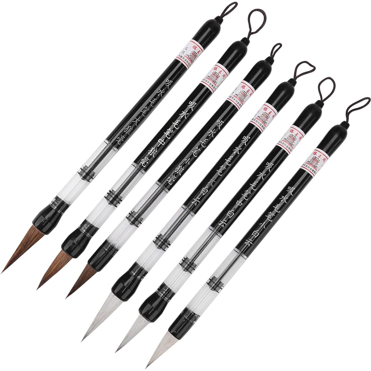 Set de 6 Plumas de Cepillo de Agua Walfront para Caligrafía