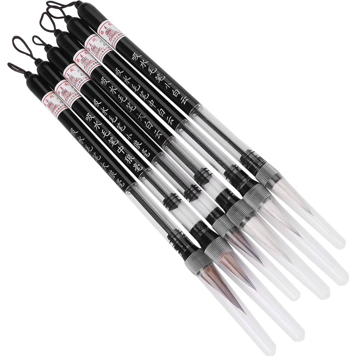 Set de 6 Plumas de Cepillo de Agua Walfront para Caligrafía