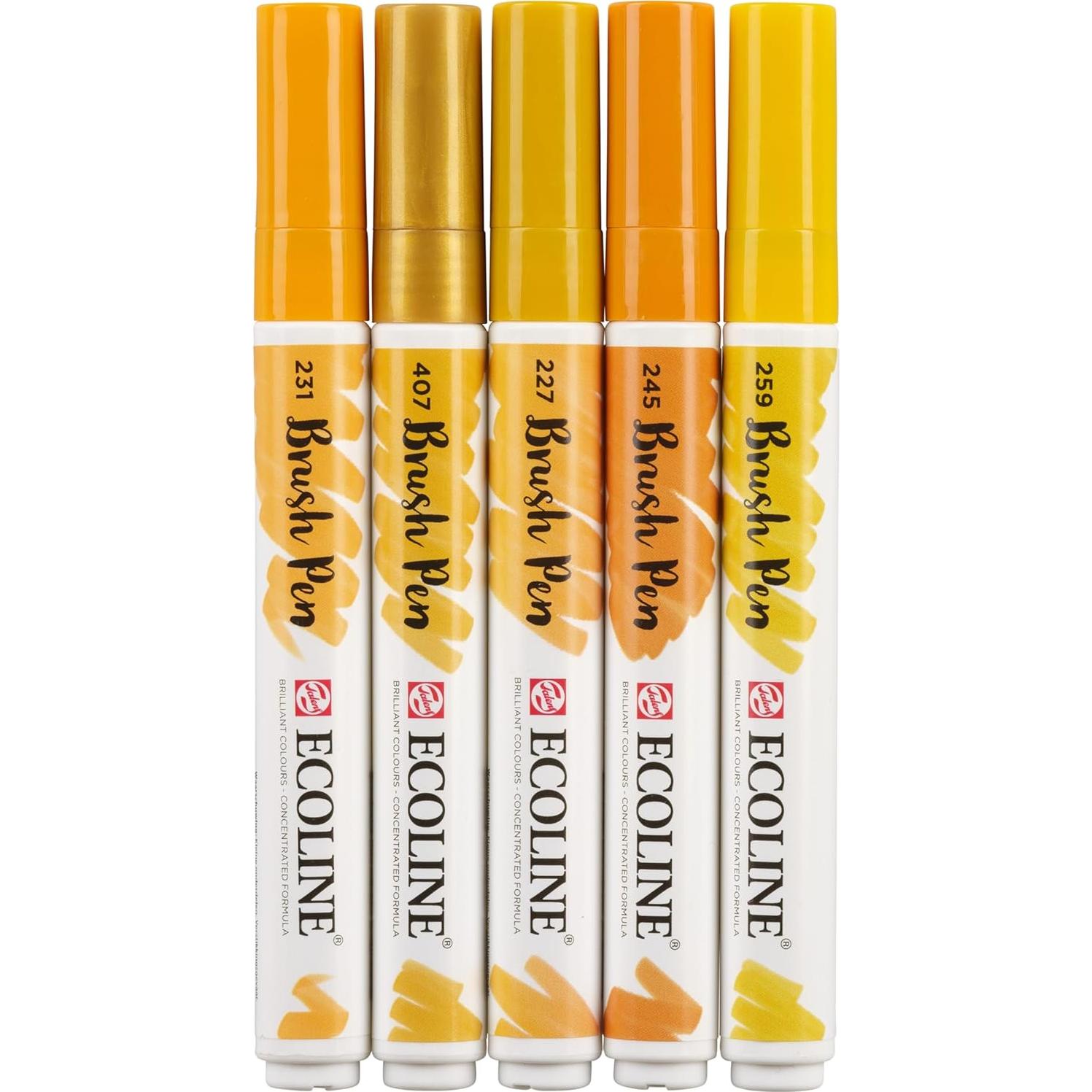 Conjunto de 5 Marcadores de Pincel Ecoline Tierra - Caligrafía y Dibujo