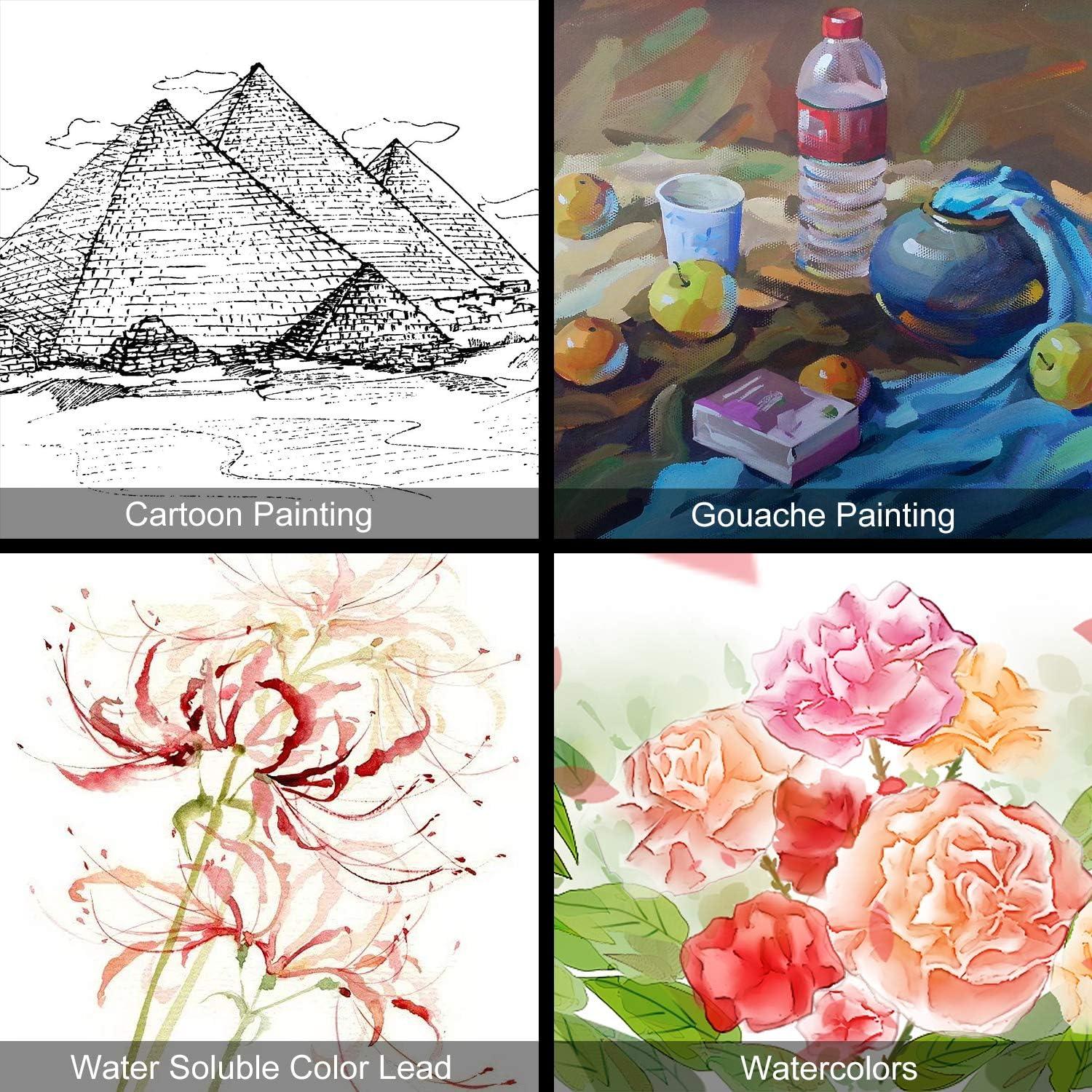 Set de 12 Pinceles de Acuarela Awpeye - Nylon, 3 Tamaños